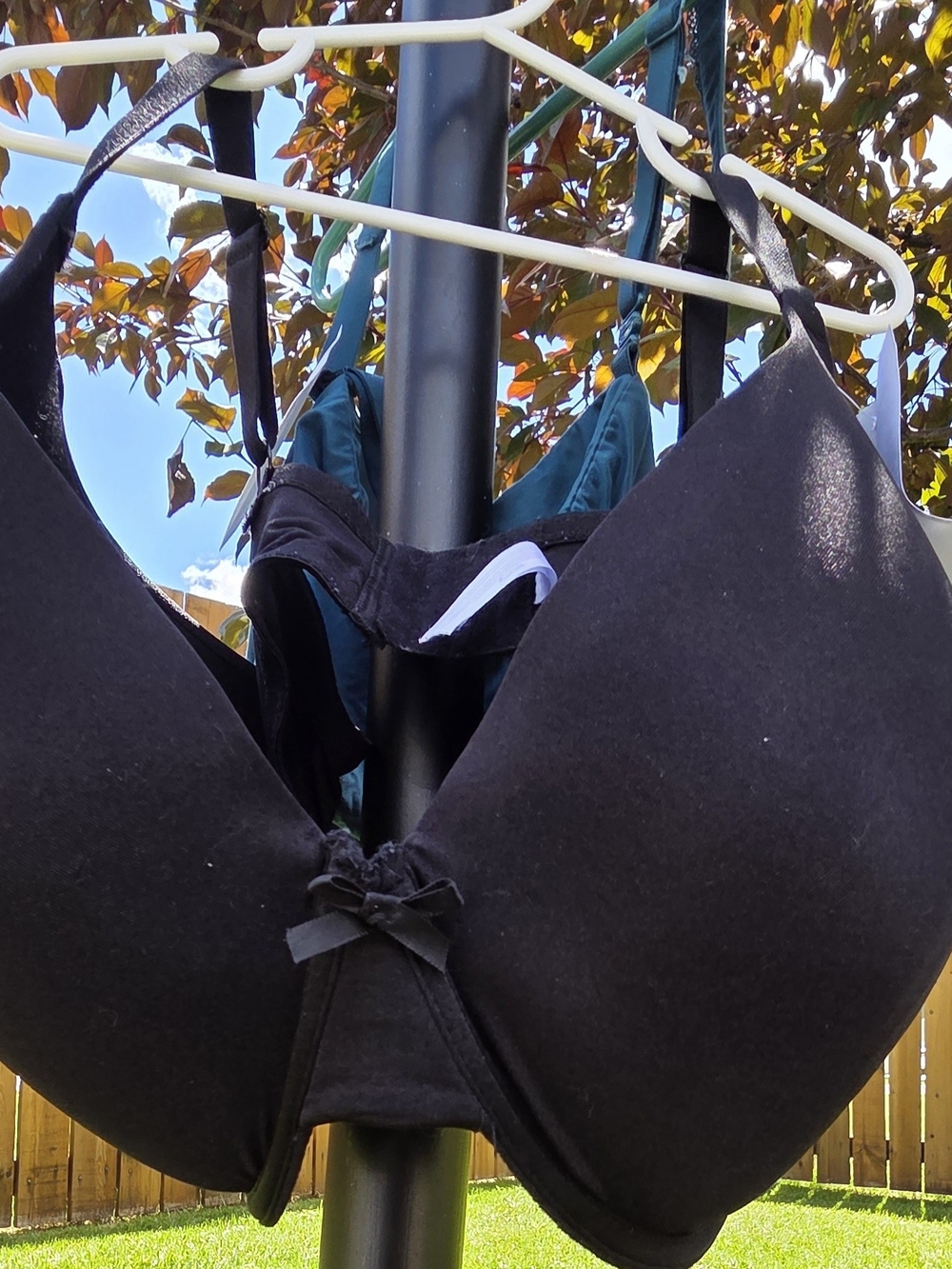 40DDD Secret Treasures Black T-Shirt Bra with Bow Accent